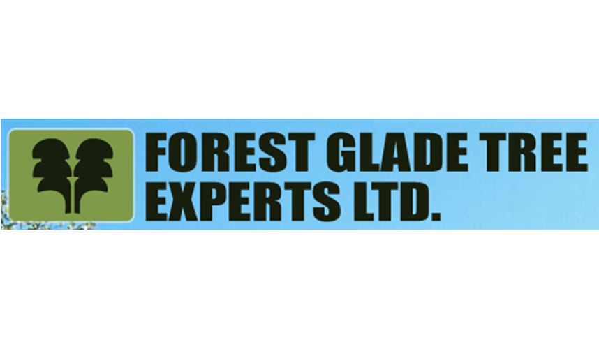 forest glade tree stump service